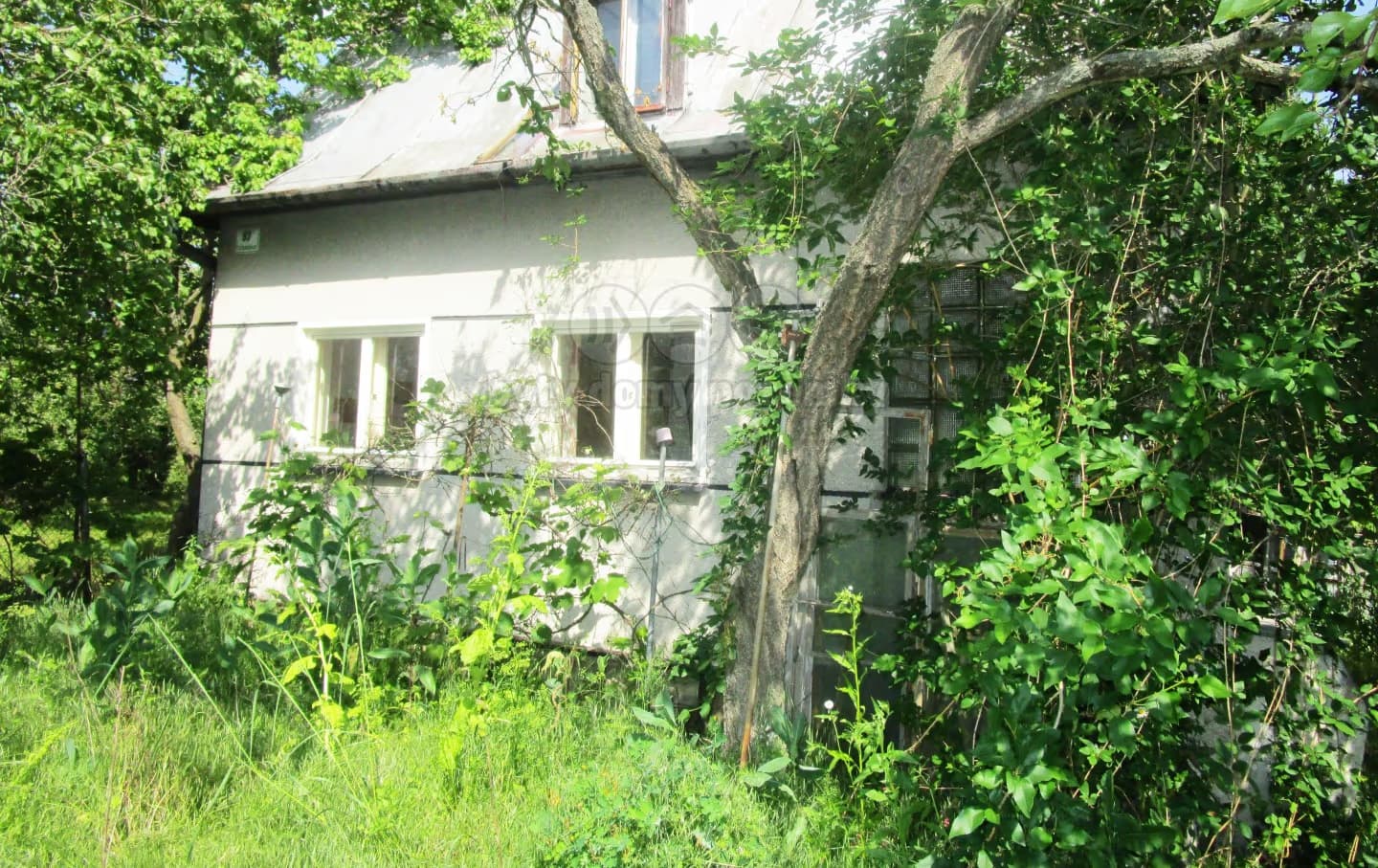 Chata obklopená vzrostlou zelení — Brno-Ivanovice